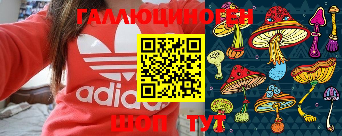 Галлюциногенные грибы Cubensis Тавда